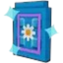 Flower Seed Pack