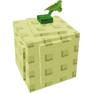 Cantaloupe