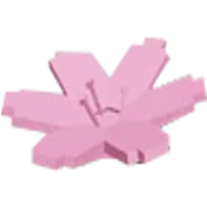 Cherry Blossom