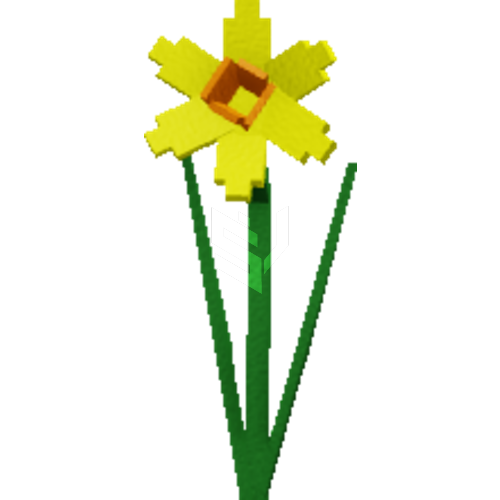 Daffodil