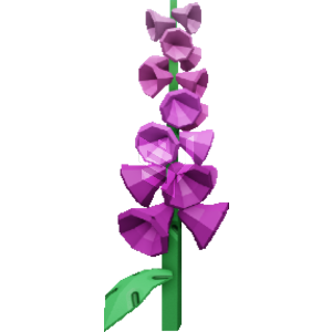 Foxglove