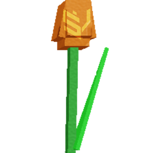 Orange Tulip