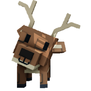 Deer