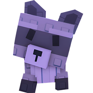 Raccoon