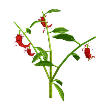 π Roblox Grow a Garden: Grape vs Pepper β Which Crop Is Better?