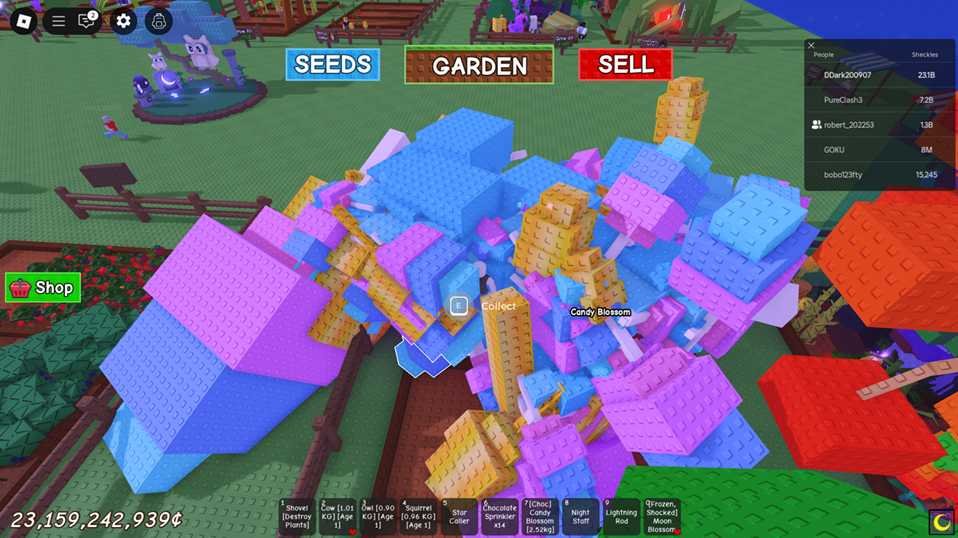 Candy Blossom vs Sunflower